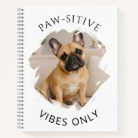 French Bulldog Paw-sitive vibes only photo
