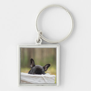 french bulldog peeking puppy key ring