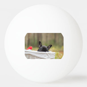 french bulldog peeking puppy ping pong ball