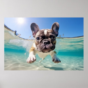 French Bulldog Pet Dog Animal Fun Play Poster