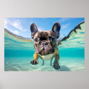 French Bulldog Pet Dog Animal Fun Play Poster