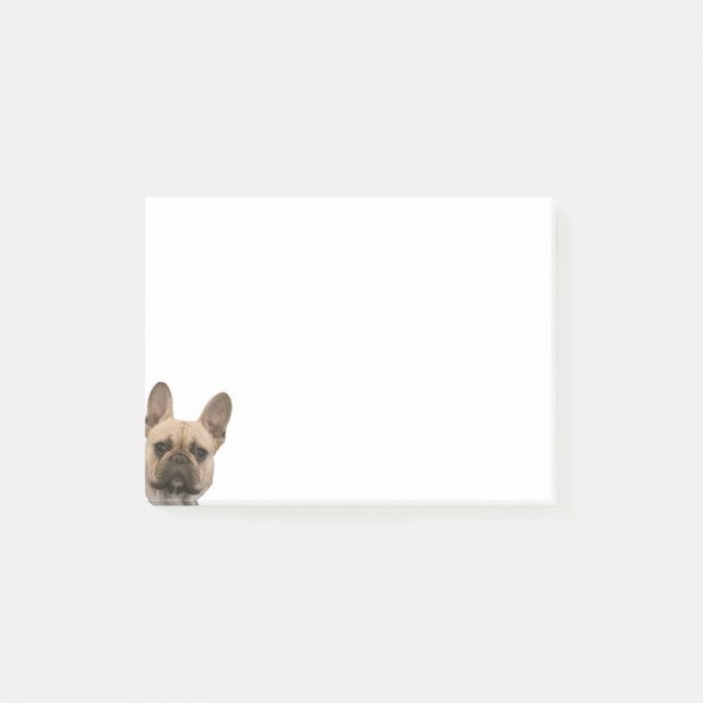 French Bulldog Photo Cute Face Picture Post-it Notes (Front)