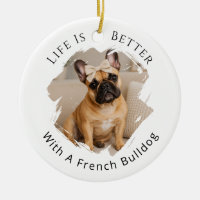 French Bulldog Photo Life Is Better