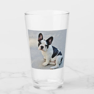 french-bulldog-piebald puppy glass