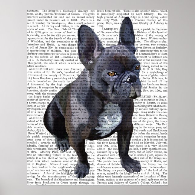 French Bulldog Plain Poster (Front)