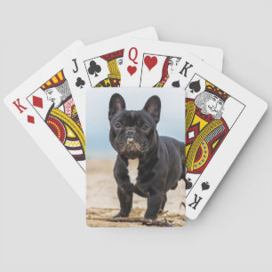French Bulldog Playing in the Sand Cards