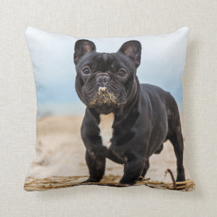 French Bulldog Playing in the Sand Cushion