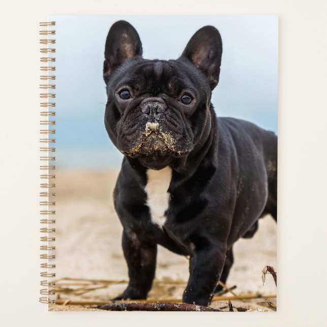 French Bulldog Playing in the Sand Planner (Front)