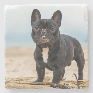 French Bulldog Playing in the Sand Stone Coaster