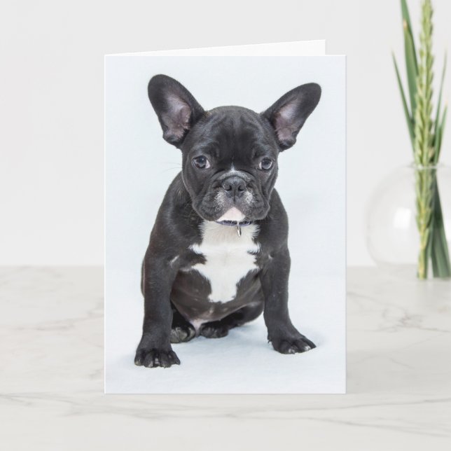 French Bulldog Portrait Card (Front)