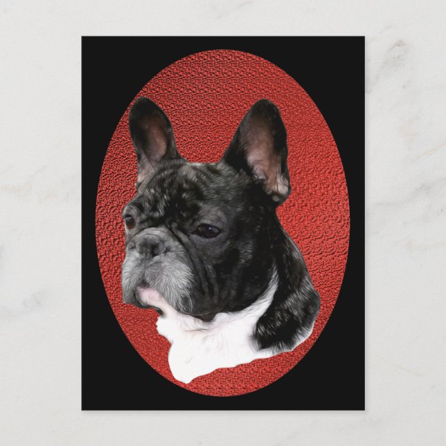 French Bulldog Portrait Postcard (Front)