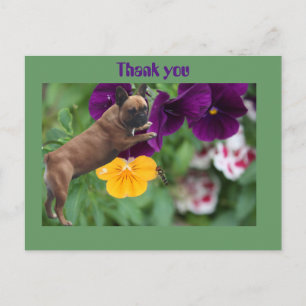 French Bulldog postcard