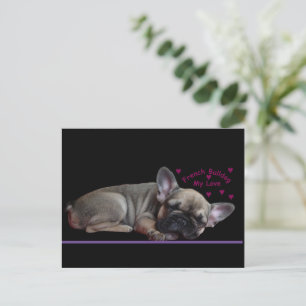 French bulldog postcard