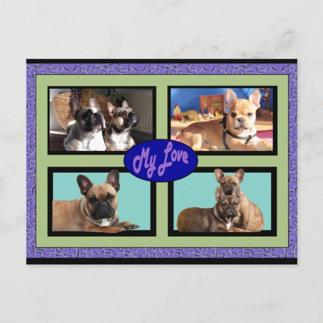 French Bulldog Postcard (Front)