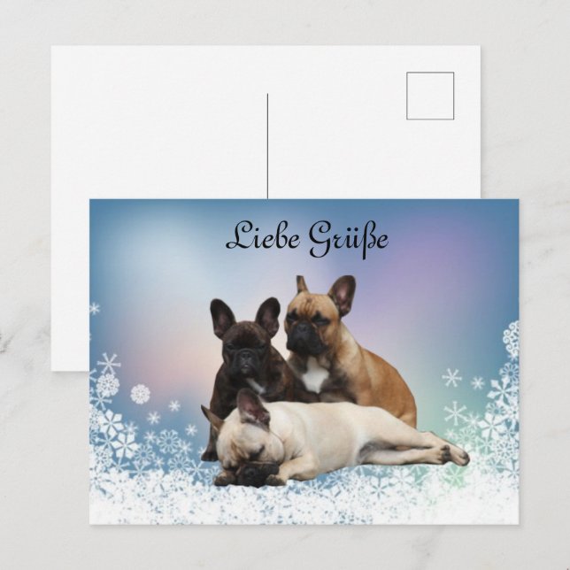 French Bulldog Postcard (Front/Back)