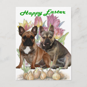 French Bulldog postcard Easter