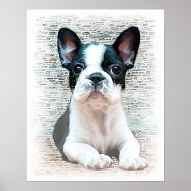 French bulldog poster (Front)