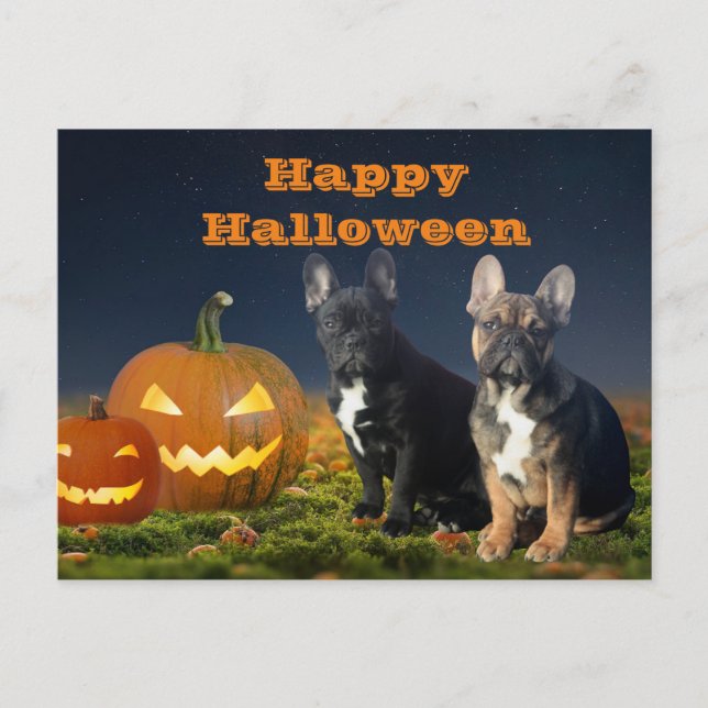 French Bulldog Pumpkin French Bulldog Postcard (Front)