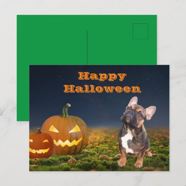 French Bulldog Pumpkin French Bulldog Postcard (Front/Back)