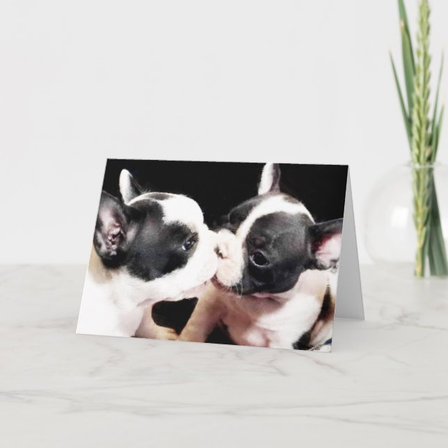 French bulldog puppies card (Front)