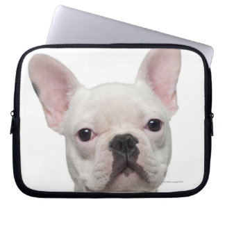 French Bulldog Puppy (5 months old) Laptop Sleeve