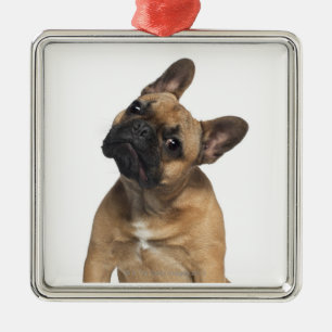 French Bulldog puppy (7 months old) Metal Tree Decoration