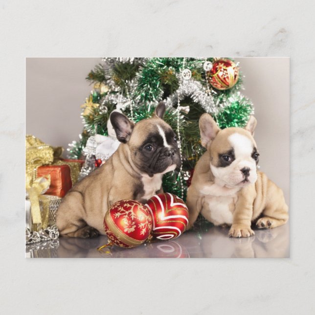 French bulldog puppy and Christmas gifts Holiday Postcard (Front)