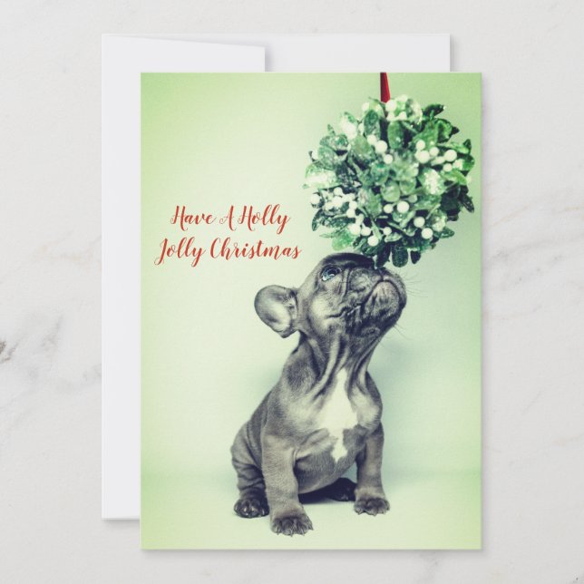 French Bulldog Puppy And Mistletoe Holiday Card (Front)