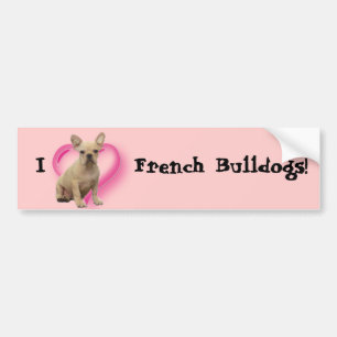 French bulldog puppy bumper sticker