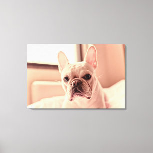 French Bulldog Puppy Canvas Print