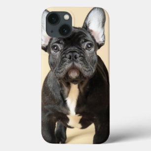 French Bulldog Puppy iPhone 13 Case