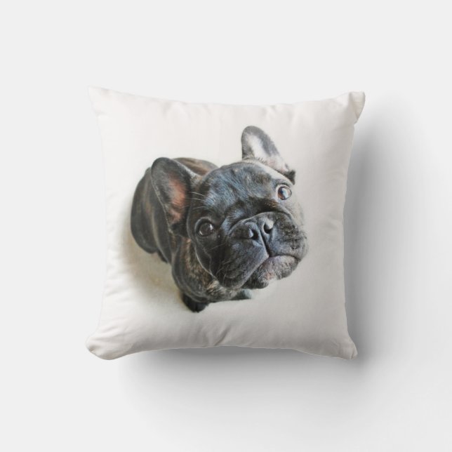 French Bulldog Puppy Cushion (Front)