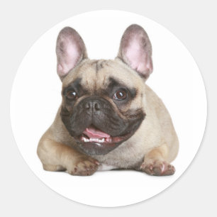 French Bulldog Puppy Dog Sticker / Seal