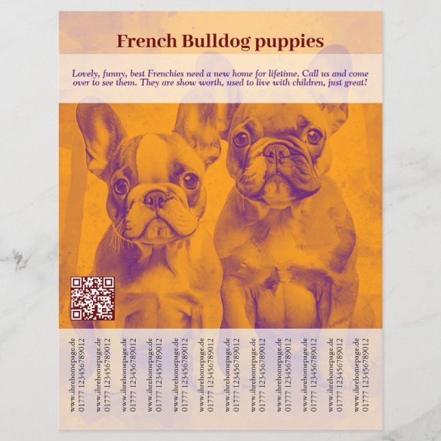 French Bulldog Puppy Flyer (Front)