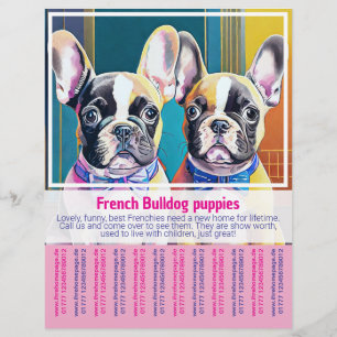 French Bulldog Puppy Flyer