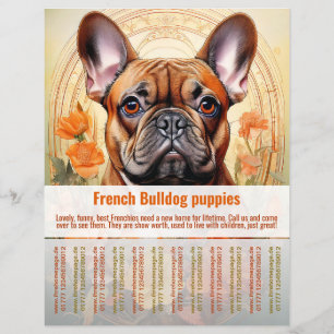 French Bulldog Puppy Flyer