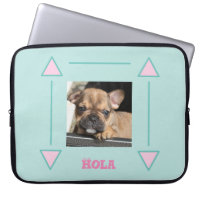 French Bulldog Puppy French Bulldog