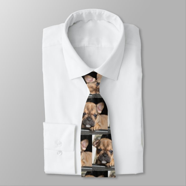 French Bulldog Puppy French Bulldog Tie (Tied)