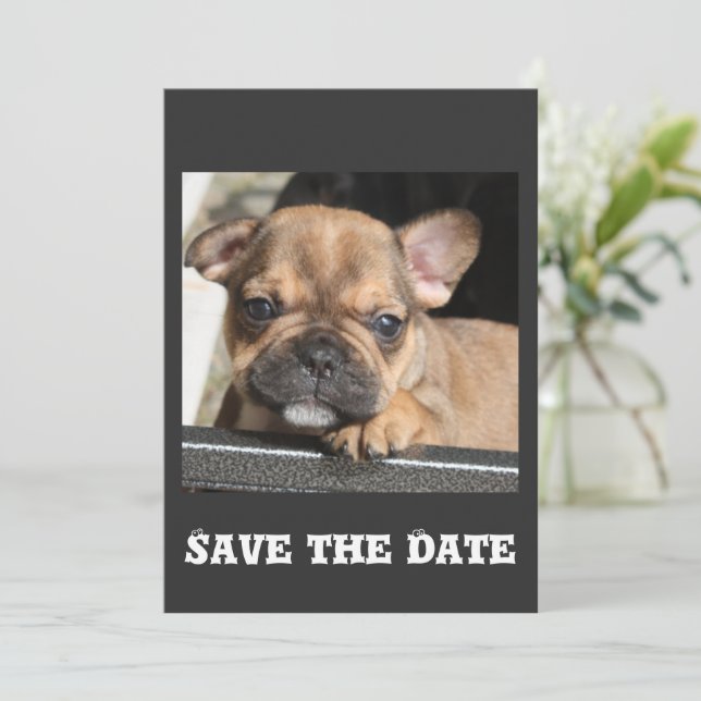 French Bulldog Puppy Invitation (Standing Front)