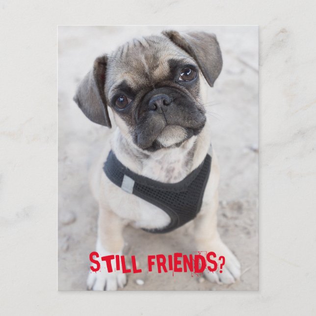 French Bulldog puppy looking cute Postcard (Front)