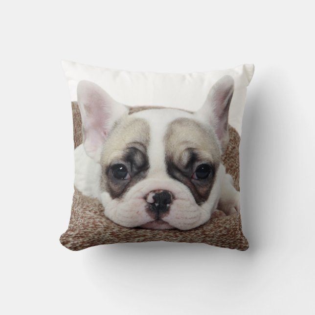 French Bulldog Puppy Lying In A Dog Bed Cushion (Front)