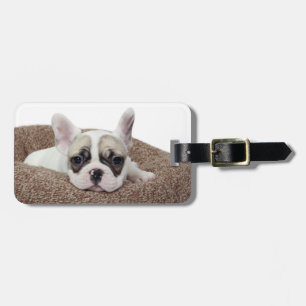 French Bulldog Puppy Lying In A Dog Bed Luggage Tag