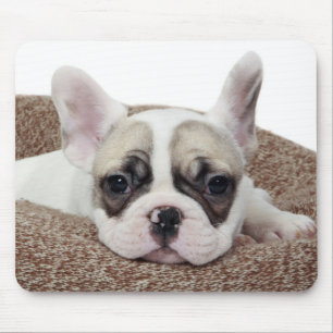 French Bulldog Puppy Lying In A Dog Bed Mouse Pad