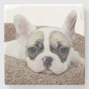 French Bulldog Puppy Lying In A Dog Bed Stone Coaster