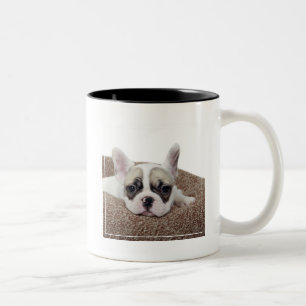 French Bulldog Puppy Lying In A Dog Bed Two-Tone Coffee Mug