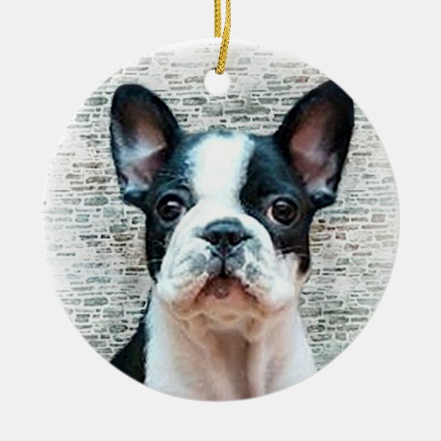 French Bulldog puppy Ornament (Front)