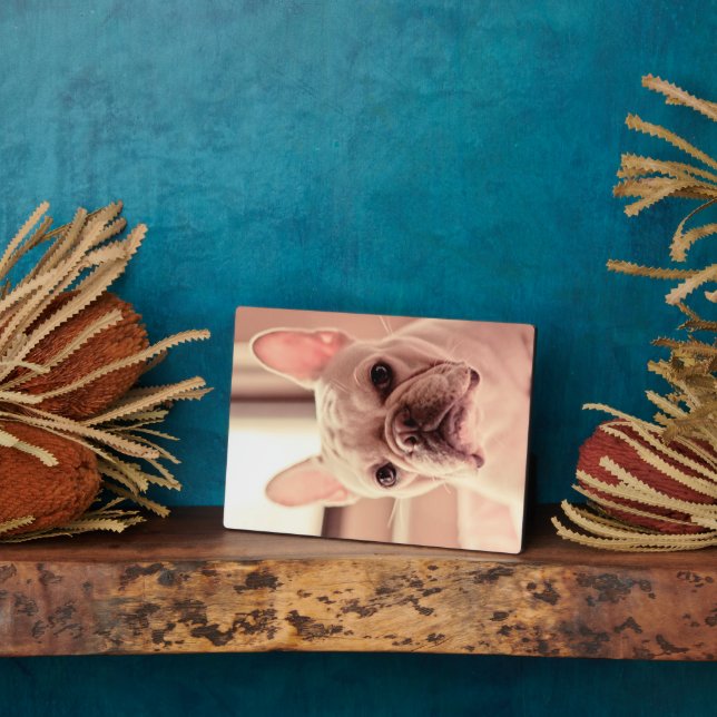 French Bulldog Puppy Plaque (Side)