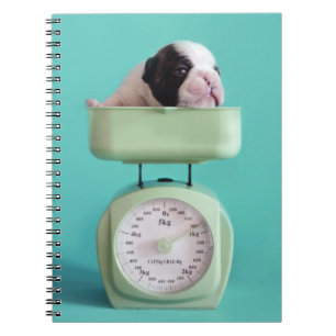 French Bulldog Puppy Spiral Notebook