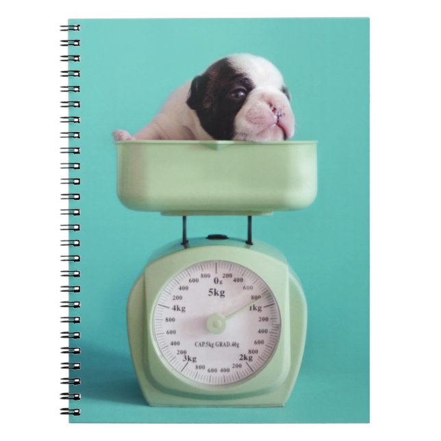 French Bulldog Puppy Spiral Notebook (Front)