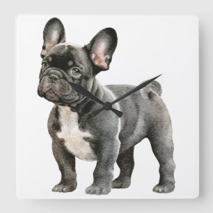 French Bulldog Puppy Square Wall Clock